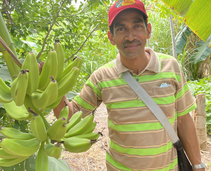 CEPAD – COUNCIL OF PROTESTANT CHURCHES OF NICARAGUA